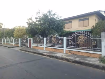 ภาพแกลลอรี่ 12